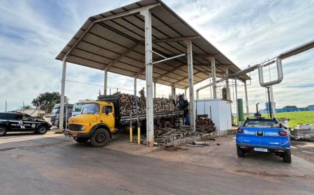 Mais de 1,3 tonelada de drogas é incinerada em Iguatemi