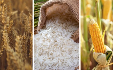 Mapa Fixa Preços de Liberação dos Estoques Públicos para Arroz, Milho, Trigo e Derivados da Mandioca