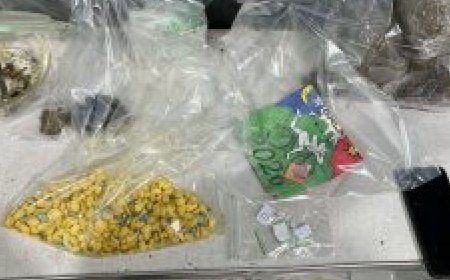 Operação prende casal e revela estoque de ecstasy, LSD e haxixe em residência