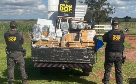 Mudança em caminhão escondia mais de meia tonelada de maconha em Dourados
