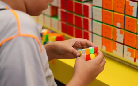 Começa primeira etapa do Censo da Educação Básica 2026