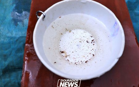 Dourados investiga nova morte por chikungunya e soma 9.033 notificações da doença em 2026