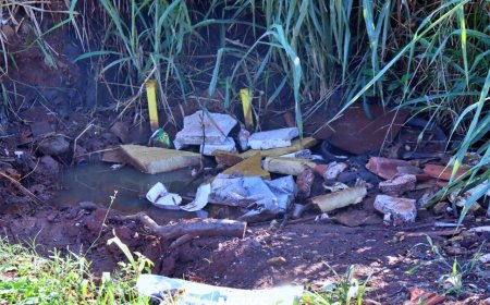 Mato Grosso do Sul Registra 21 Óbitos por Chikungunya e 12.811 Casos Prováveis