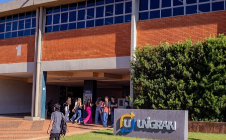 Diploma Universitário: Chave para Aumentar Renda e Reduzir Desemprego