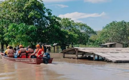 Chuvas em Roraima: Técnicos Federais Enviados para Auxiliar na Resposta a Desastres