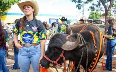 Cavalgada em Campo Grande: o Evento que Une Gerações