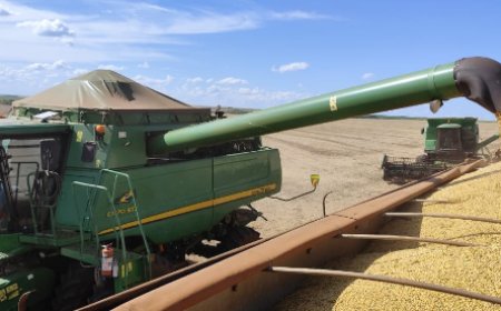 Mato Grosso do Sul apresenta segundo maior crescimento do agronegócio no país