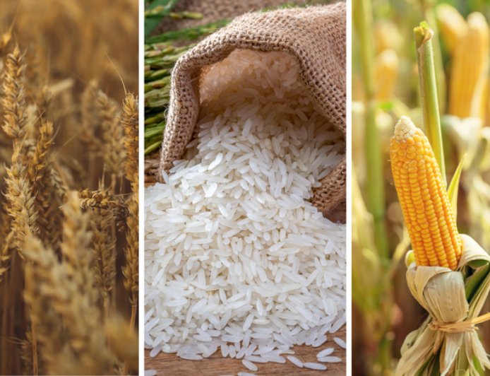 Mapa Fixa Preços de Liberação dos Estoques Públicos para Arroz, Milho, Trigo e Derivados da Mandioca