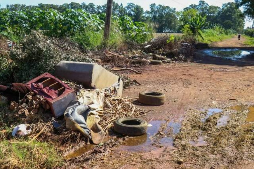 Mato Grosso do Sul Registra 5.214 Casos Confirmados de Chikungunya em 2026