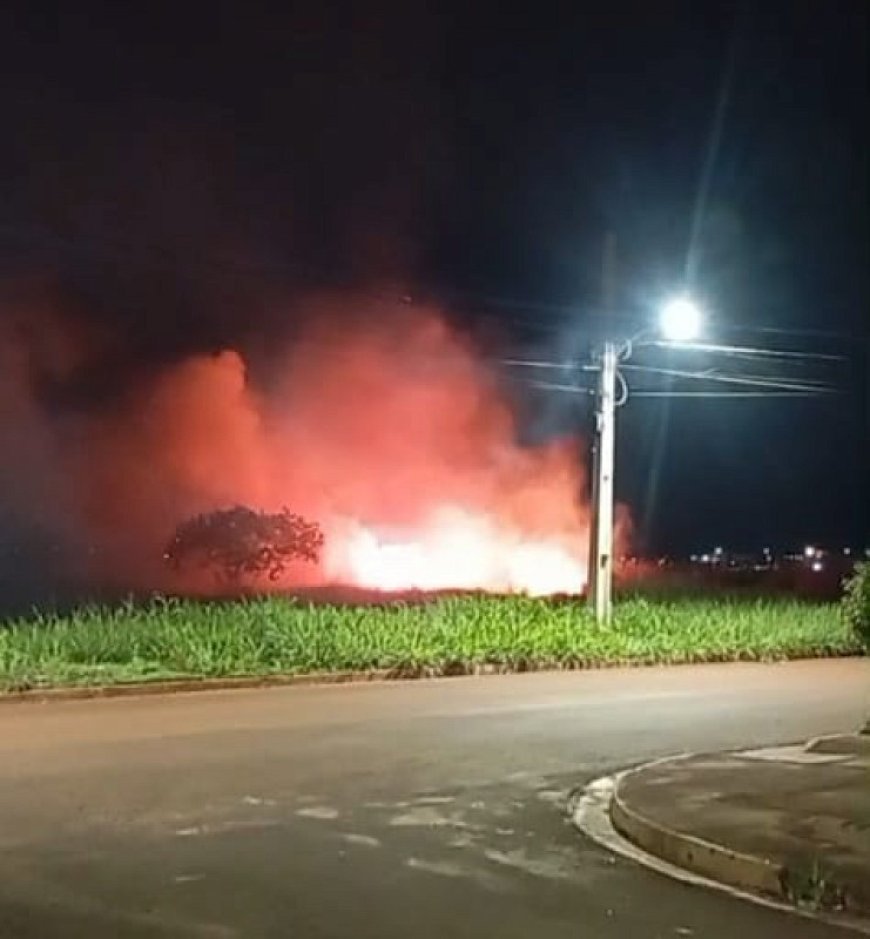 Incêndio em Dourados: Raio Provoca Fogo em Área de Vegetação