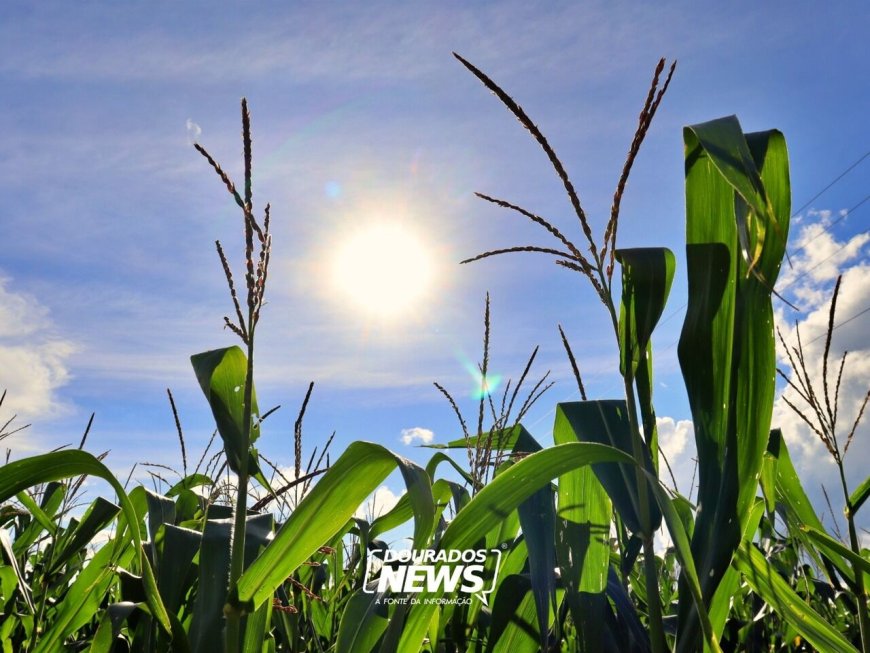Previsão indica início de semana quente e com aumento de nuvens em Dourados