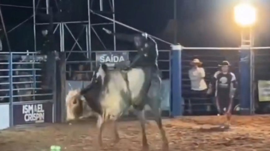 Peão de 25 anos morre após ser pisoteado por touro durante rodeio
