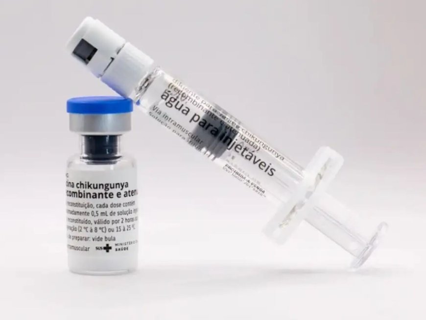 Butantan produzirá vacina nacional contra chikungunya