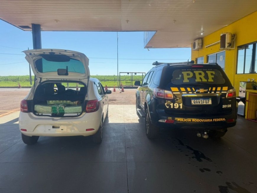 Motorista é preso com 208 quilos de drogas na BR-163