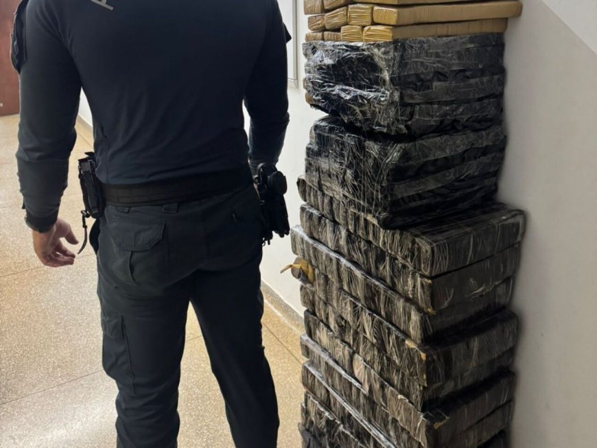 Mais de 200 kg de maconha são apreendidos após carro colidir com vaca em rodovia de MS
