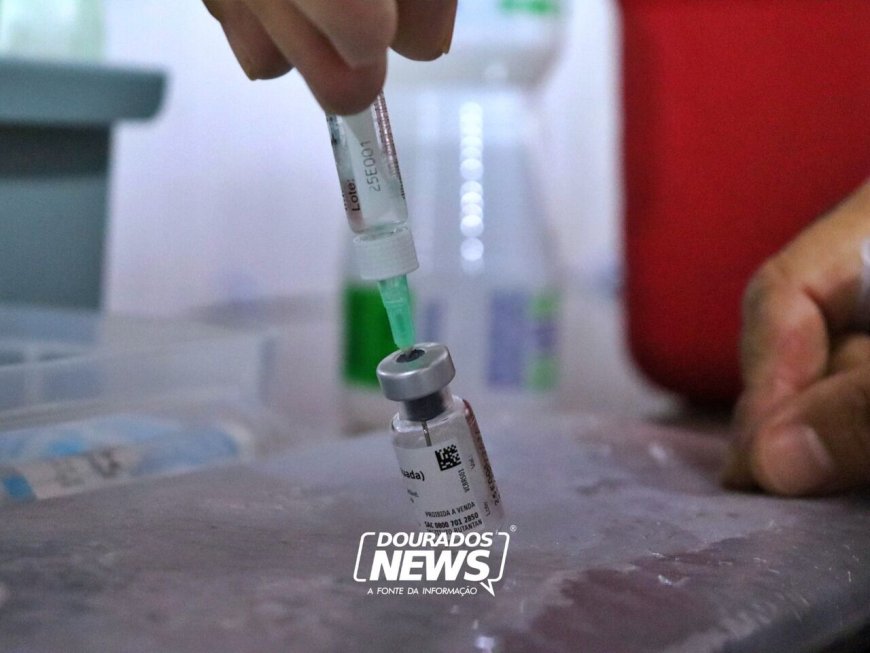 Vacinação contra Chikungunya é Ampliada em Mato Grosso do Sul