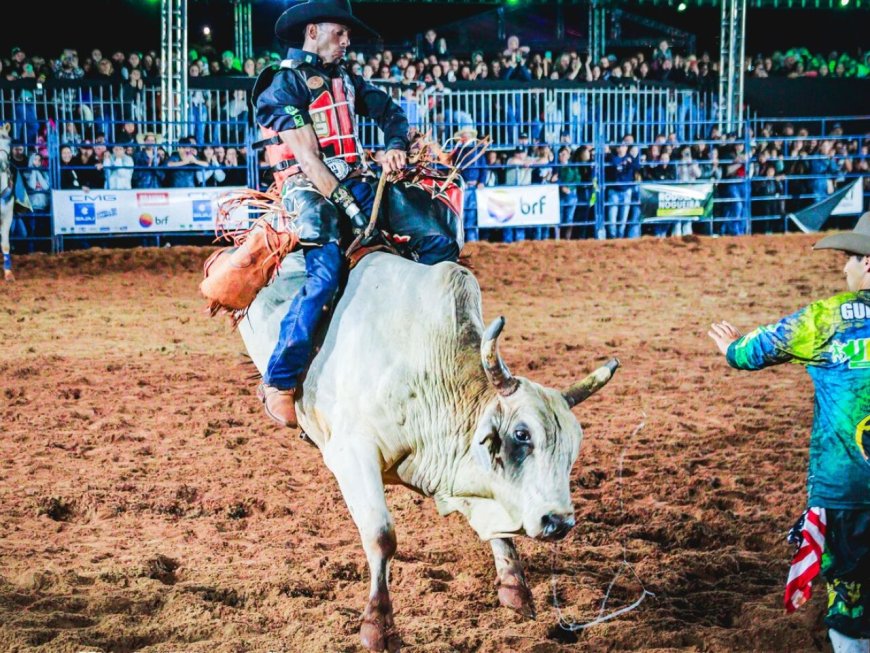 Um dos berços do rodeio no Brasil, Festa do Peão começa hoje com entrada franca
