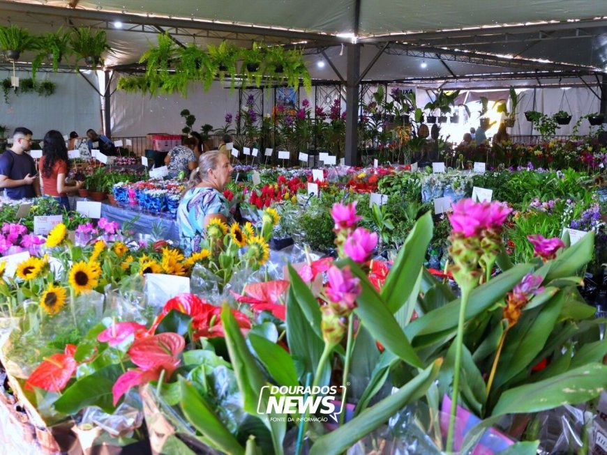 Expoflor: evento beneficente até sábado na praça Antônio João em Dourados