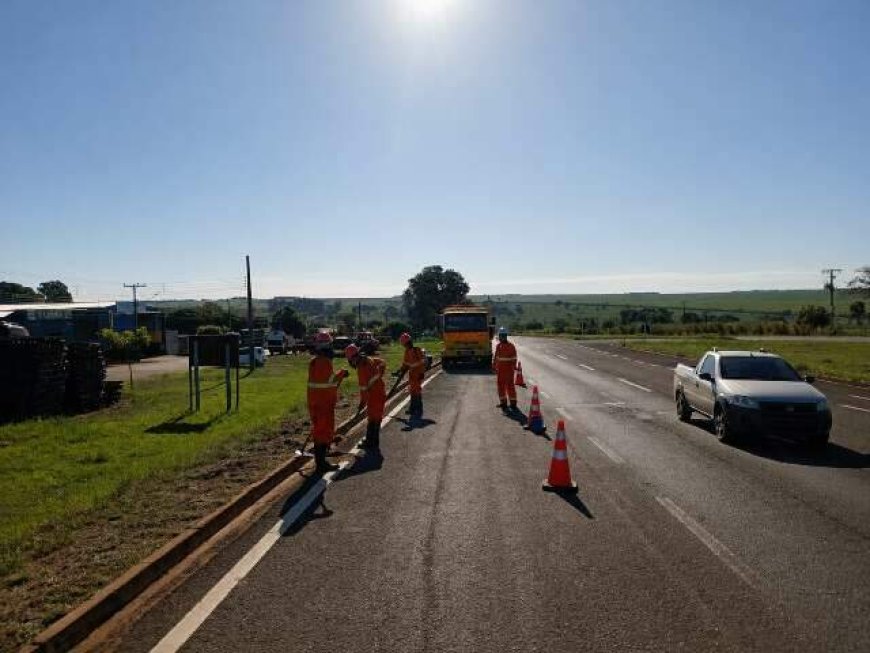 Rota da Celulose: 705 km de rodovias recuperados e 21 toneladas de lixo recolhidas em 100 dias