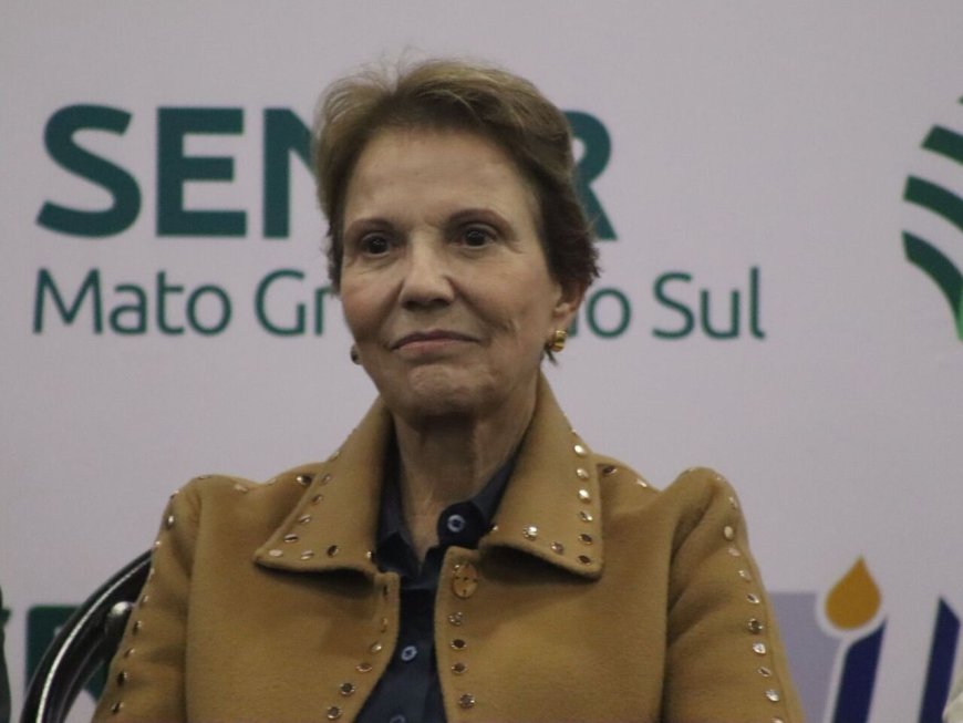 Tereza Cristina volta a descartar vice em chapa de Flávio e mira presidência do Senado