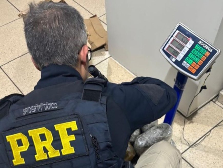 Menor é apreendido com mais de 11 quilos de skunk na BR-262
