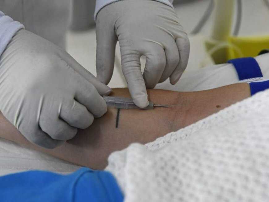 Mato Grosso do Sul Reforça Vigilância Contra Hantavirose Após 7 Anos Sem Casos Confirmados