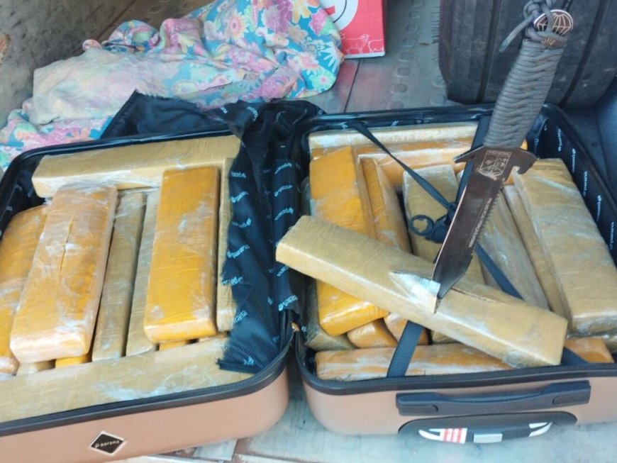 Passageiro de ônibus é preso com mais de 30 kg de maconha em rodovia