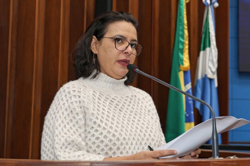 Projeto de Proteção à Mulher é Arquivado na Assembleia de MS