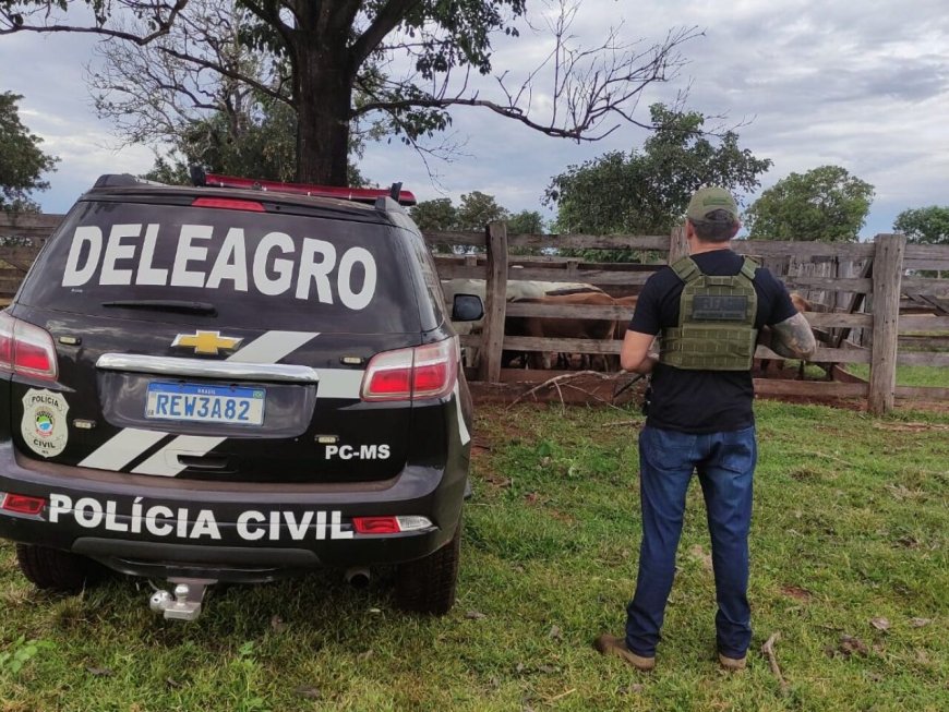 Operação recupera quase 70 cabeças de gado furtadas em Dourados