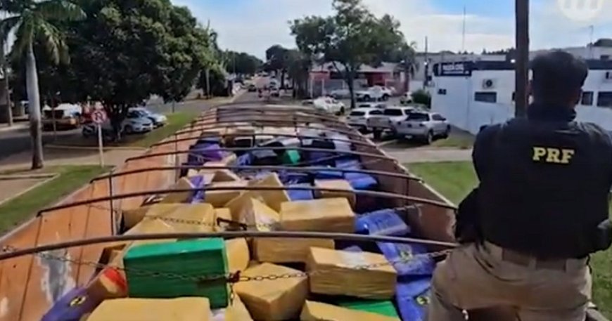 Caminhoneiro é preso com mais de 8 toneladas de maconha na BR-163