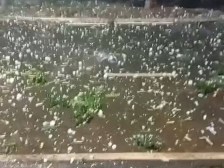 Região Sul de Mato Grosso do Sul Enfrenta Noite de Caos com Granizo, Alagamentos e Ventania