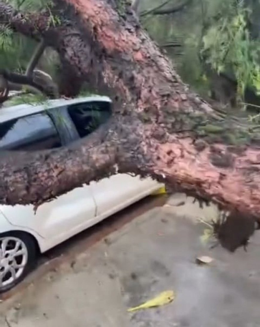 Temporal despeja quase 90 mm de chuva em Dourados e cidade lidera volume no Estado