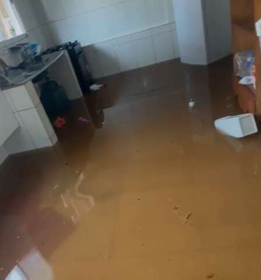 Alagamentos em Campo Grande: Moradores Deixam Casas às Pressas