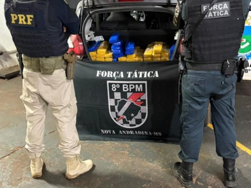 Homem é preso com 219 quilos de maconha e haxixe em Ivinhema