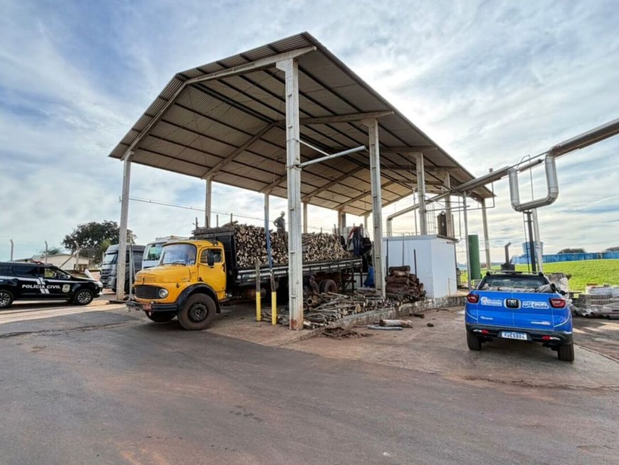 Mais de 1,3 tonelada de drogas é incinerada em Iguatemi