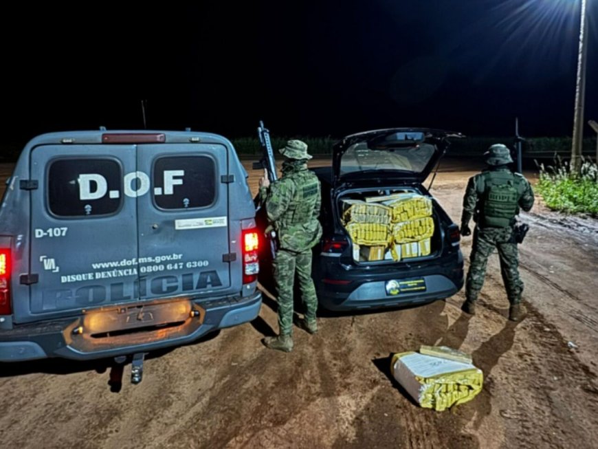 Maconha avaliada em R$ 580 mil é apreendida e dois são presos