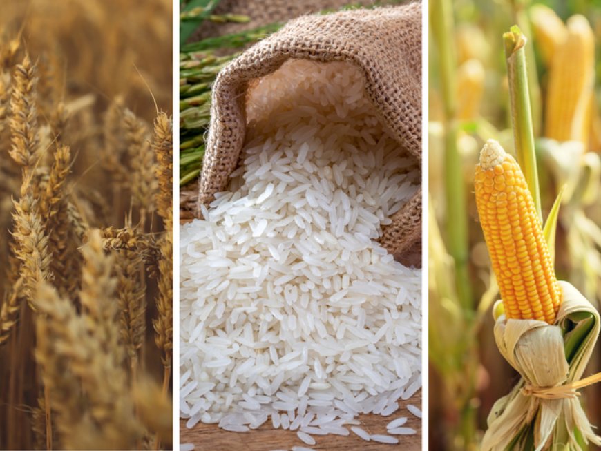 Mapa Fixa Preços de Liberação dos Estoques Públicos para Arroz, Milho, Trigo e Derivados da Mandioca