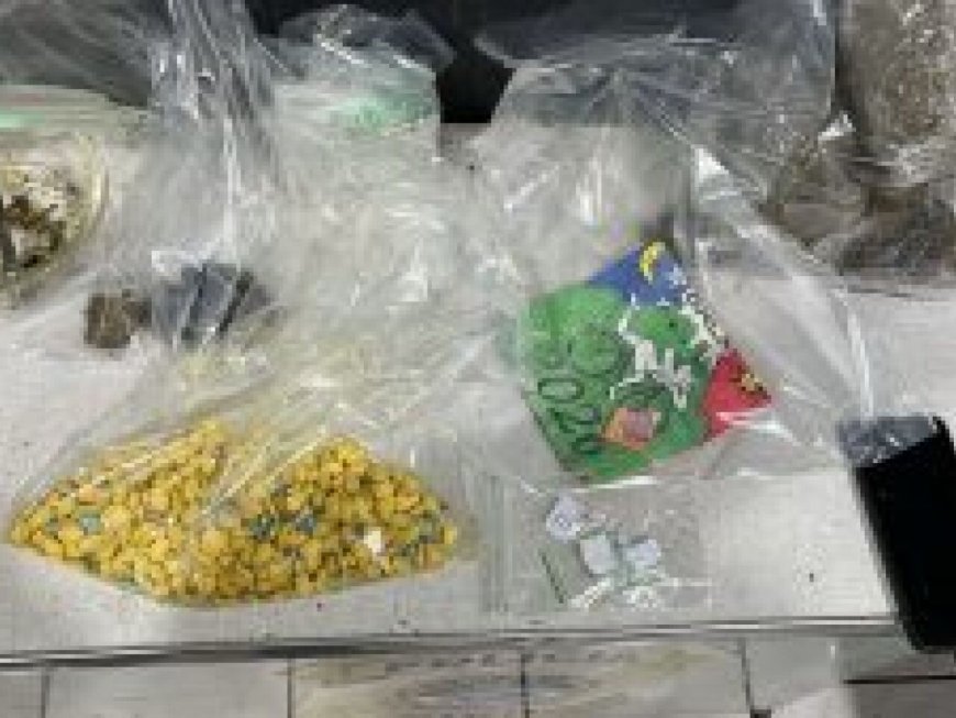 Operação prende casal e revela estoque de ecstasy, LSD e haxixe em residência