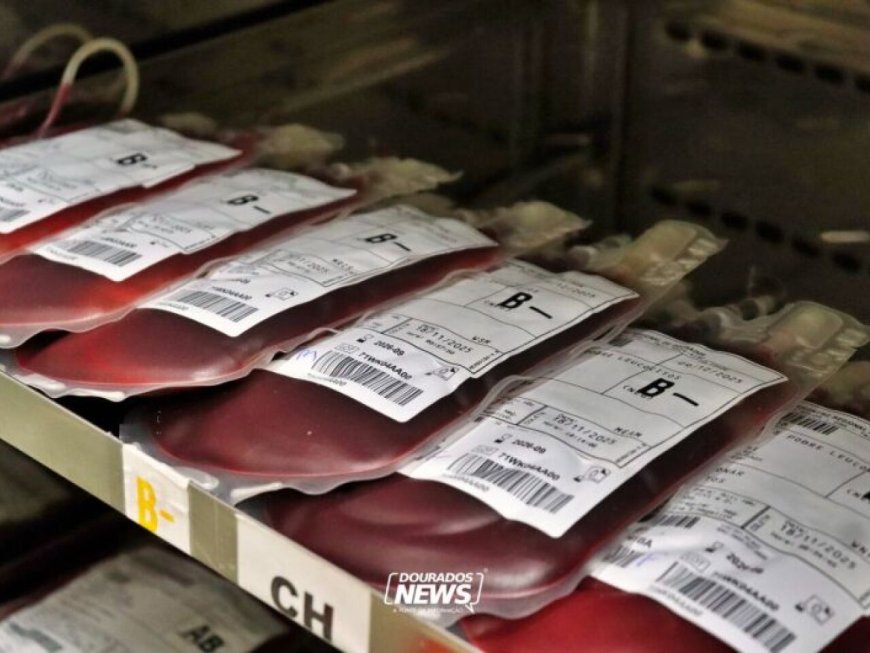 Hemosul Abre no Sábado para Receber Doadores de Sangue
