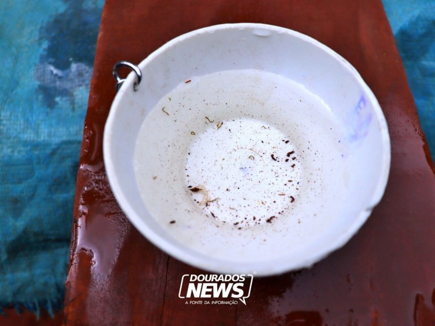 Dourados investiga nova morte por chikungunya e soma 9.033 notificações da doença em 2026