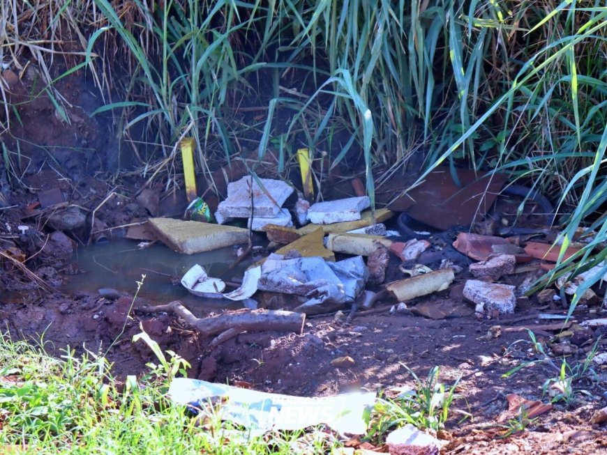 Mato Grosso do Sul Registra 21 Óbitos por Chikungunya e 12.811 Casos Prováveis