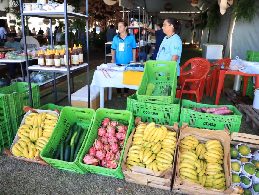 Tecnofam 2026: Evento de Agricultura Familiar em Dourados Apresenta Soluções Inovadoras