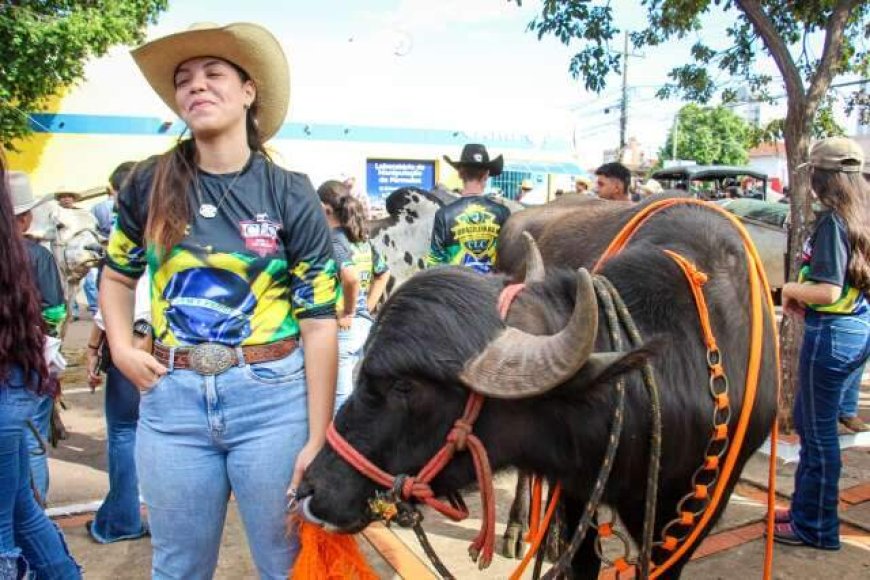 Cavalgada em Campo Grande: o Evento que Une Gerações