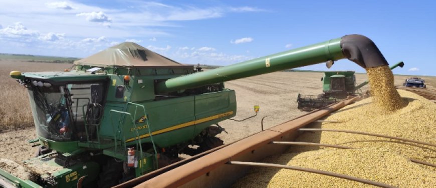 Mato Grosso do Sul apresenta segundo maior crescimento do agronegócio no país