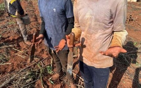 Corumbá lidera rota de entrada de imigrantes para trabalho escravo no Brasil