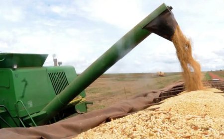 Mato Grosso do Sul registra 2º maior crescimento do agronegócio no país