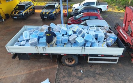 Quase 5t de maconha são apreendidas em meio a carga de sementes de girassol