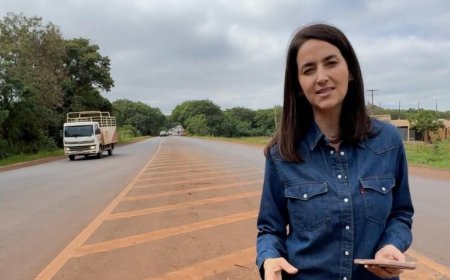 Gianni cobra duplicação e redutores de velocidade na BR-463