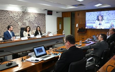 Debate sugere reforço de critérios contra desinformação nas eleições