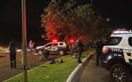 Motociclista Morre Após Colisão com Árvore em Campo Grande